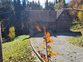 Starry Laz mountain house